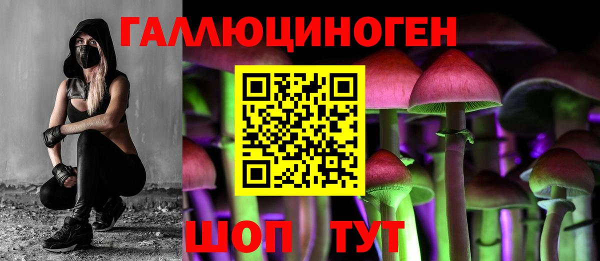 Галлюциногенные грибы мухоморы  Луховицы 