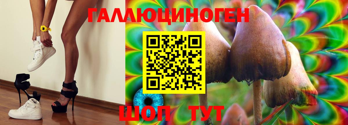  COCAIN Луховицы