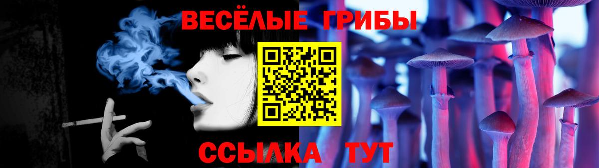 Псилоцибиновые грибы GOLDEN TEACHER Луховицы